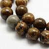 Natural Dendritic Jasper Beads Strands G-E382-07-6mm-1