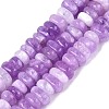 Dyed Natural Quartz Beads Strands G-N359-16A-08-2