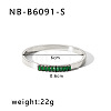 304 Stainless Steel Pave Cubic Zirconia Bangles FS-WG09E60-40-1