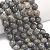 Natural Labradorite Beads Strands G-L642-F07-12mm-1