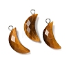 Natural Tiger Eye Pendants G-L614-D05-P04-1