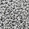 TOHO 6/0 Round Beads SEED-XTR06-0053-3