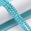 Natural Howlite Beads Strands G-E604-B04-B-2