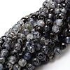 Faceted Natural Agate Round Beads Strands G-E319A-6mm-07-1