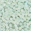 Frosted Glass Seed Beads SEED-N012-01D-3