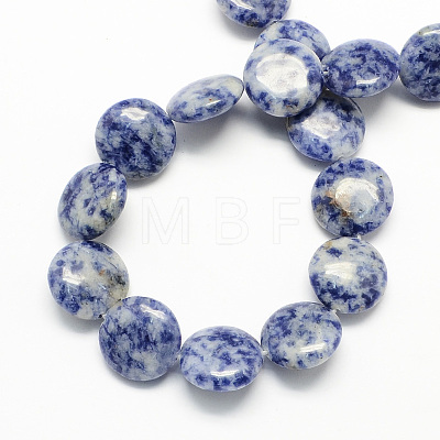Natural Blue Spot Jasper Beads Strands G-S110-12mm-13-1
