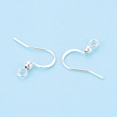 304 Stainless Steel French Earring Hooks STAS-S111-004S-1