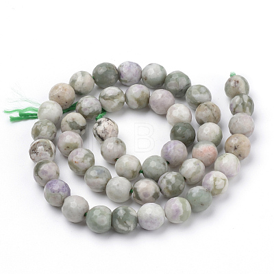 Natural Peace Jade Beads Strands G-Q462-110-10mm-1