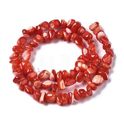 Natural Trochid Shell/Trochus Shell Bead Strands SSHEL-N034-78-C04-1