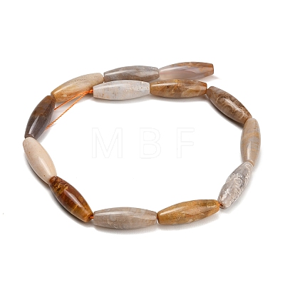 Natural Fossil Coral Beads Strands GG-CBA362F-03-1