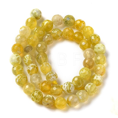 Dyed & Heated Natural Fire Crackle Agate Beads Strands G-P539-B01-18-1