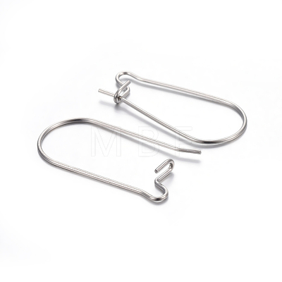 304 Stainless Steel Hoop Earring Findings STAS-P223-01P-05-1