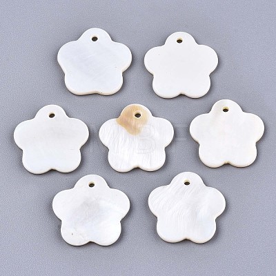 Natural Freshwater Shell Charms SHEL-S276-116-1