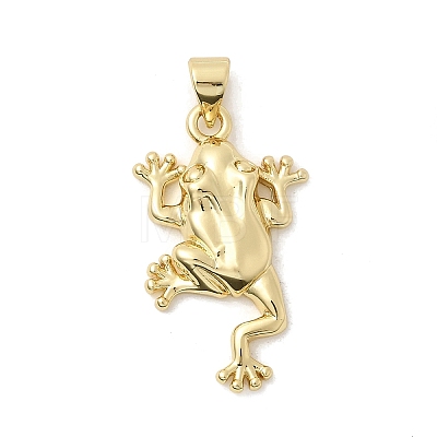 Frog Charms Brass Pendants KK-H529-48G-1
