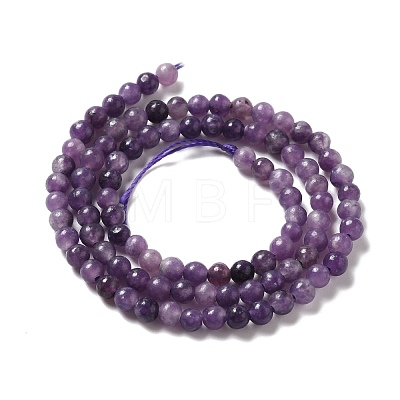 Natural Lepidolite/Purple Mica Stone Beads Strands G-B029-B03-01-1