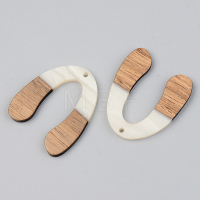 Opaque Resin & Walnut Wood Pendants RESI-S389-058A-C04-1
