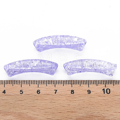 Transparent Crackle Acrylic Beads CACR-S009-001A-N47-1