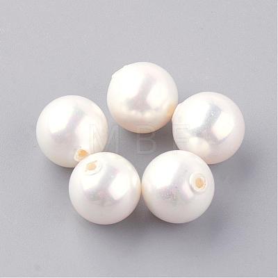 Natural Sea Shell Beads SHEL-Q008-18-8mm-1
