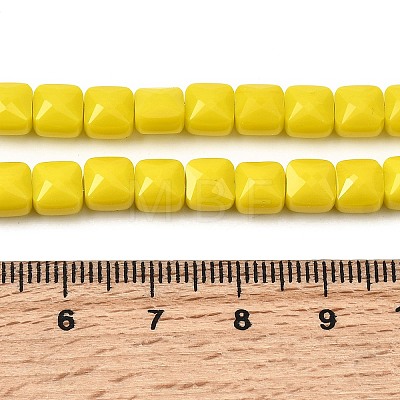 Opaque Glass Beads Strands GLAA-L050-C21-1