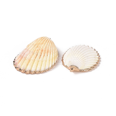 Shell Pendants SHEL-P075-03-1