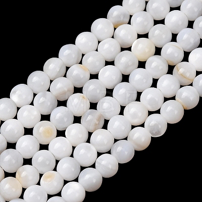 Natural Freshwater Shell Beads Strands SH-CBA2978-07D-01-1