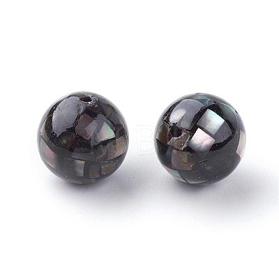 Natural Black Lip Shell Beads SSHEL-Q298-16mm-10-1