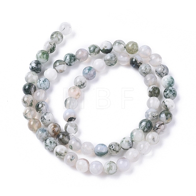 Natural Tree Agate Beads Strands G-L533-22-1