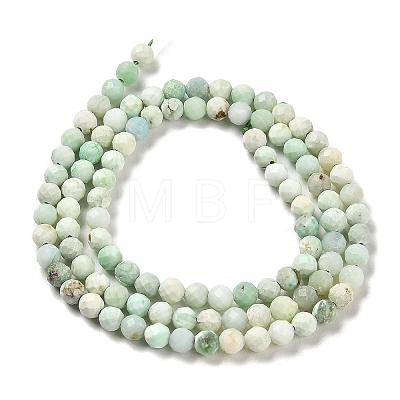 Natural Green Opal Beads Strands G-Z035-A02-03C-1