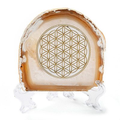 Printed Natural Agate Slice Stone Ornament DJEW-M011-02A-1