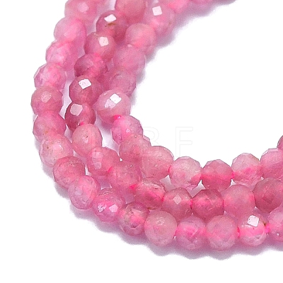 Natural Tourmaline Beads Strands G-G106-C02-01-1