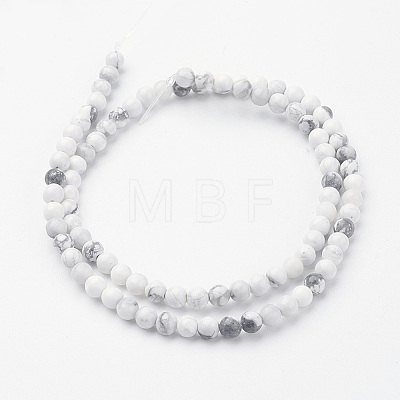 Natural Howlite Bead Strands G-G735-66-4mm-1
