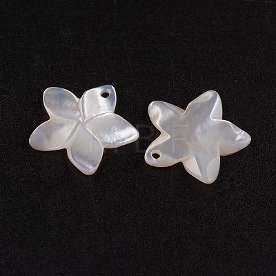 Natural White Shell Mother of Pearl Shell Pendants SSHEL-G014-60-1