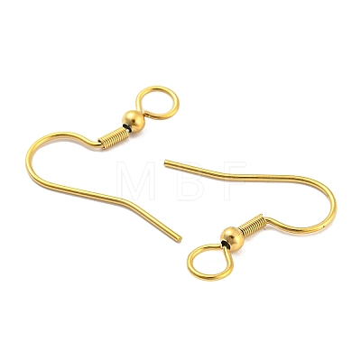 304 Stainless Steel Earring Hooks STAS-B047-30G-1