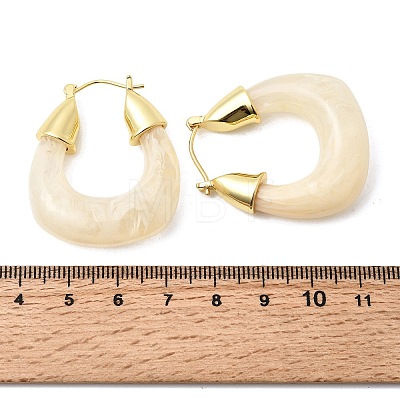 Brass Resin Hoop Earrings EJEW-P333-11D-G01-1