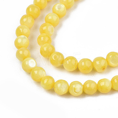 Natural Freshwater Shell Beads Strands SHEL-N003-24-B08-1