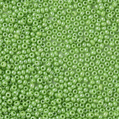 11/0 Czech Opaque Glass Seed Beads SEED-N004-003B-04-1