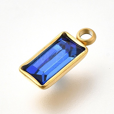 304 Stainless Steel Rhinestone Pendants STAS-Z125-12G-G-1