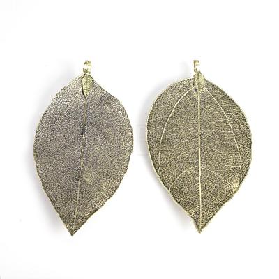 Electroplated Natural Leaf Big Pendants IFIN-Q119-02F-1