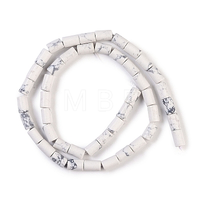 Natural Howlite Beads Strands G-C128-A37-01-1