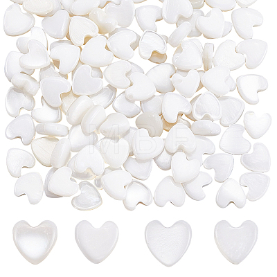 2 Strands Natural Freshwater Shell Beads Strands SHEL-SC0001-85D-1