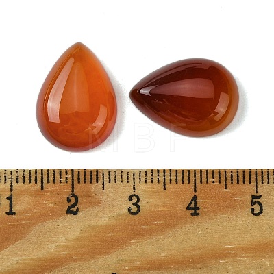 Natural Carnelian Cabochons G-L601-01A-02-1