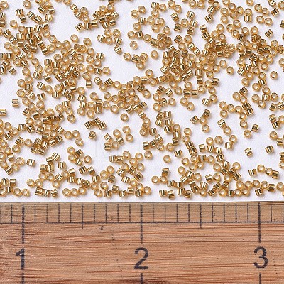 MIYUKI Delica Beads X-SEED-J020-DB1201-1