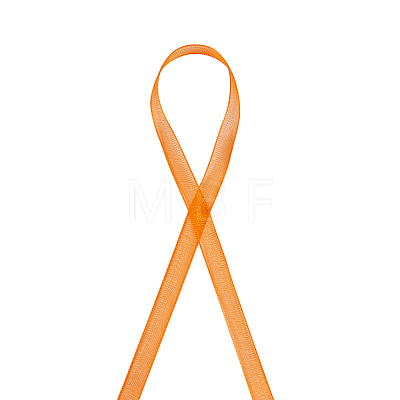 Organza Ribbon RS6mmY024-1