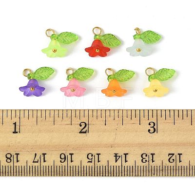 50Pcs Transparent Acrylic Pendants PALLOY-FS00043-06-1