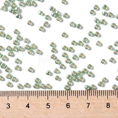 TOHO Round Seed Beads SEED-XTR08-PF0560-1