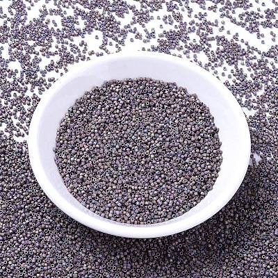 MIYUKI Delica Beads SEED-MY11-DB1067-1