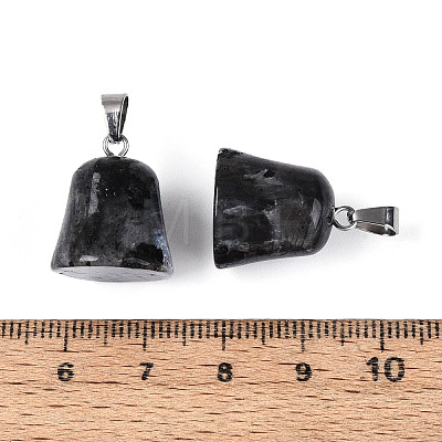 Natural Labradorite Pendants G-N349-15P-02-1