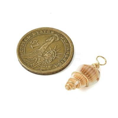 Natural Spiral Shell Pendants PALLOY-JF02793-01-1