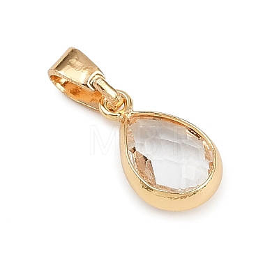 Glass Charms PALLOY-JF04360-1