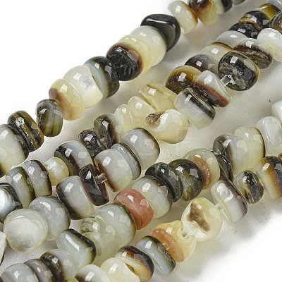 Natural Black Lip Shell Beads Strands BSHE-G039-02-1